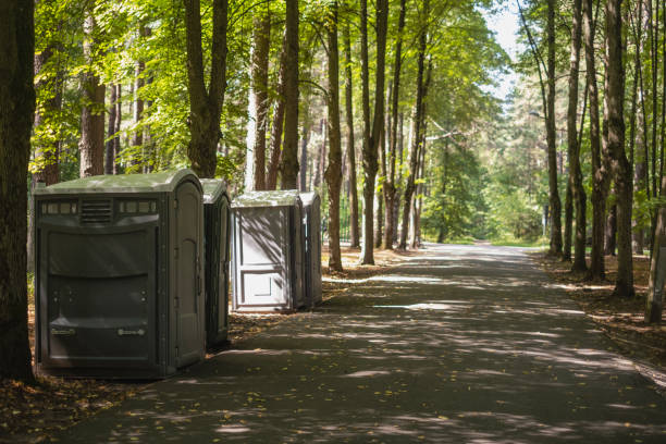 Best Wedding porta potty rental  in Morton, IL